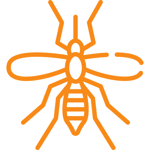 mosquito Mosquito graphic representing pest control services by Peach Pest Co. for effective mosquito management in Oro Valley, AZ.