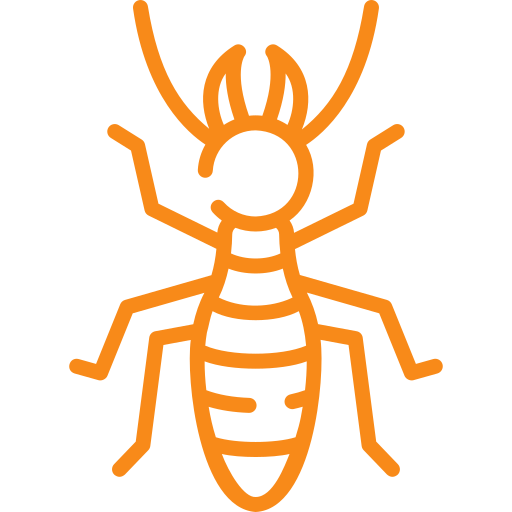 termite