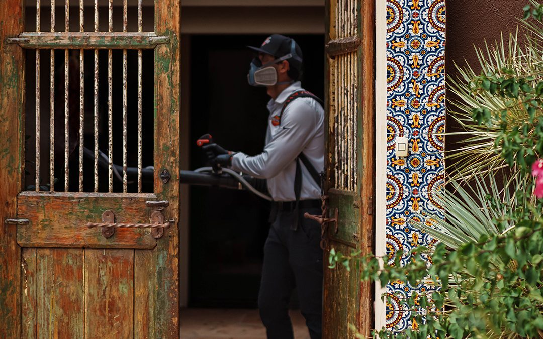 Exterminators in Tucson: Professional Pest Control Solutions