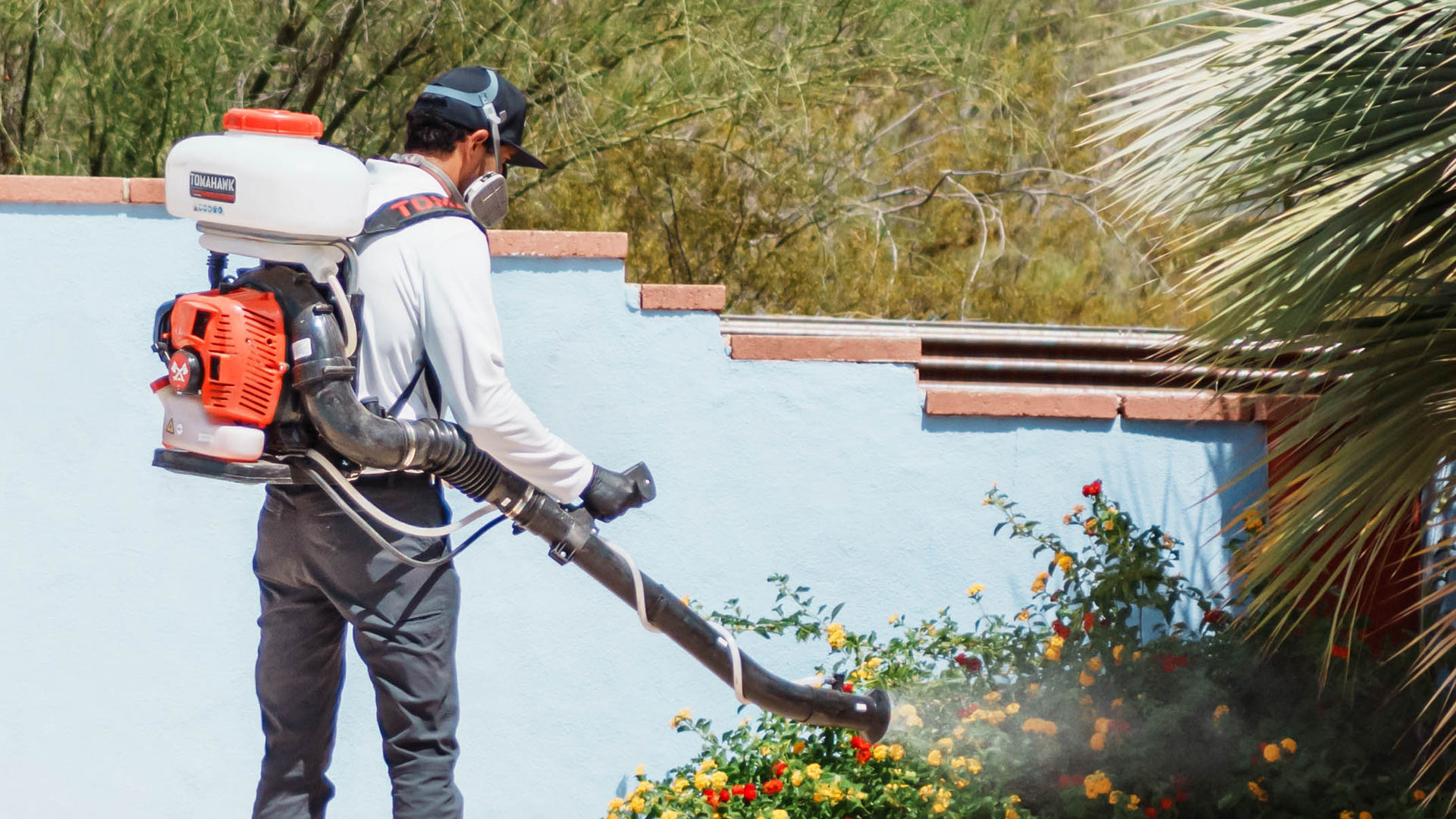 Peach Pest Co pest control technician using a backpack sprayer to treat flowering plants in a Tucson yard, emphasizing outdoor pest management services.