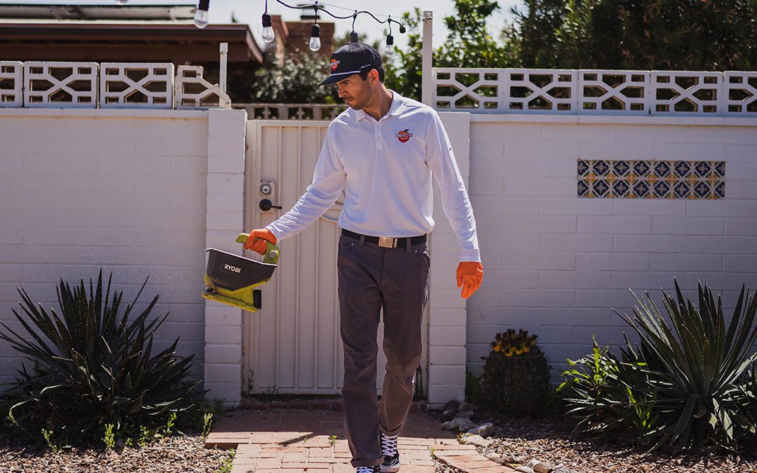 How to Choose a Pest Control Provider in Tucson, AZ