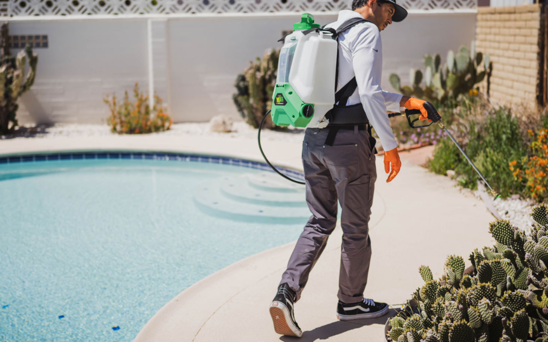 Is Your Home Pest-Proof for Summer? A Tucson Homeowner’s Checklist