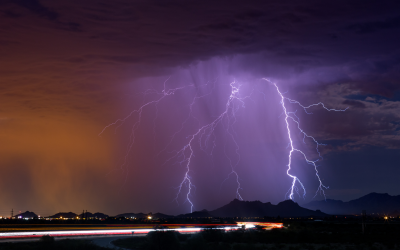 How Tucson’s Monsoon Season Impacts Pest Activity